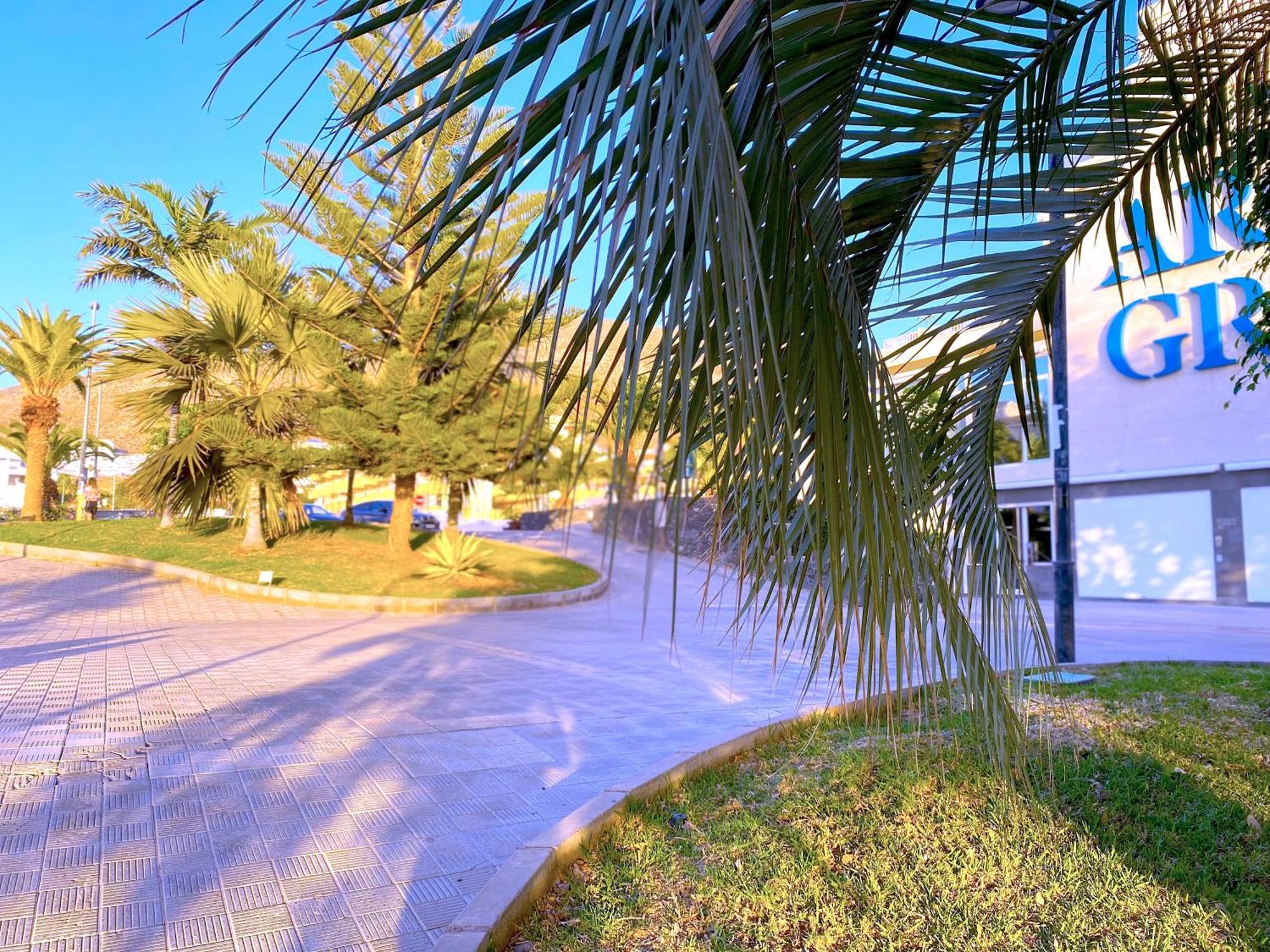 Apartamento Tropicalidays Cristianos Angel Los Cristianos  Exterior foto